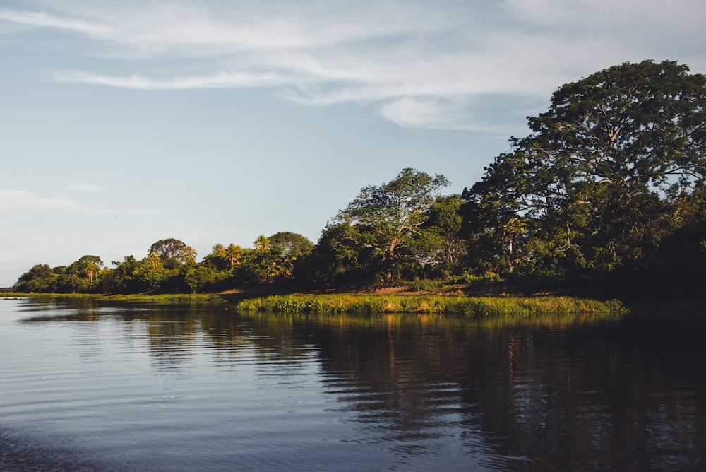 Rio de Janeiro → Campo Grande → Pantanal