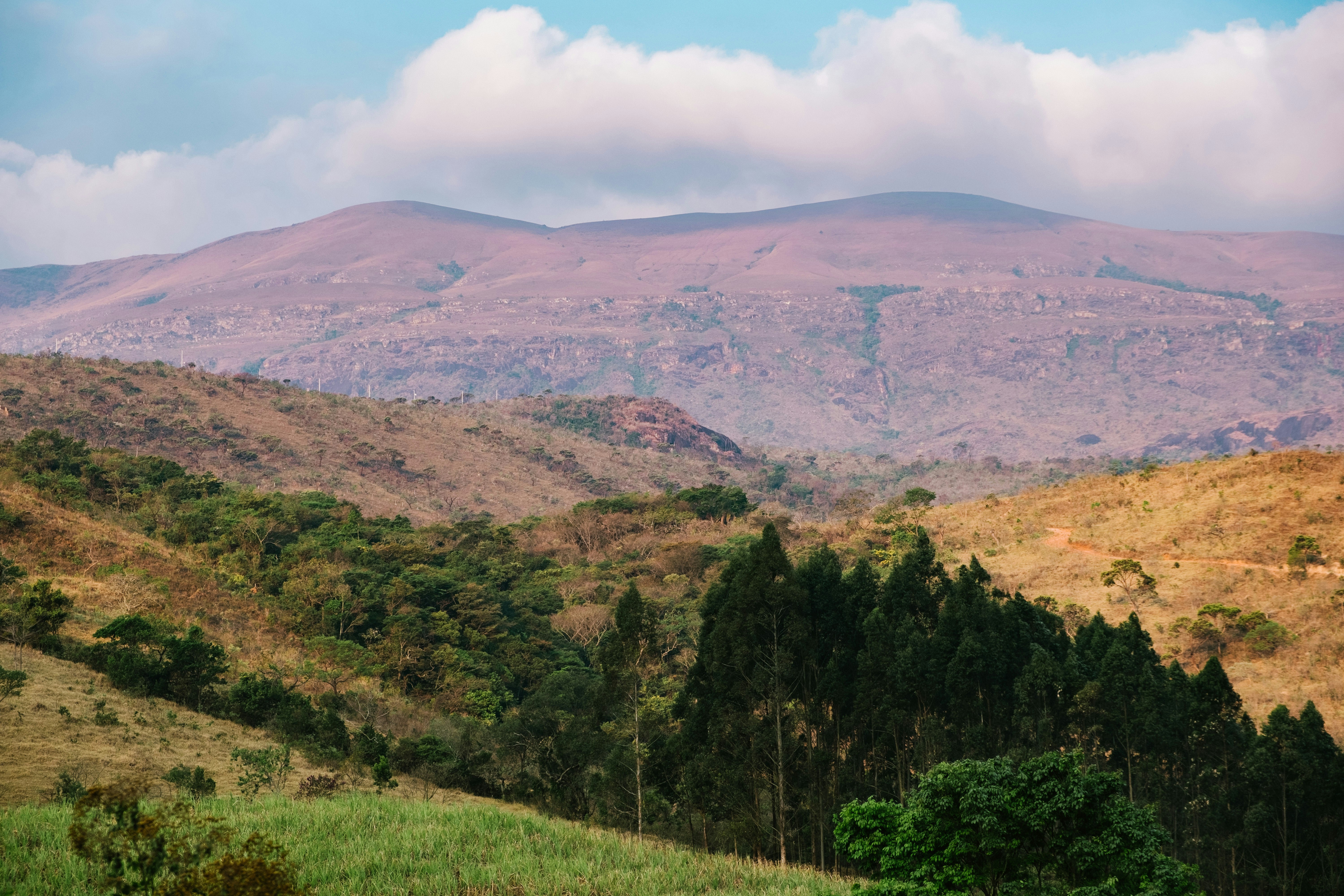 Rolling hills and trees in Moeda, Minas Gerais, Brazil