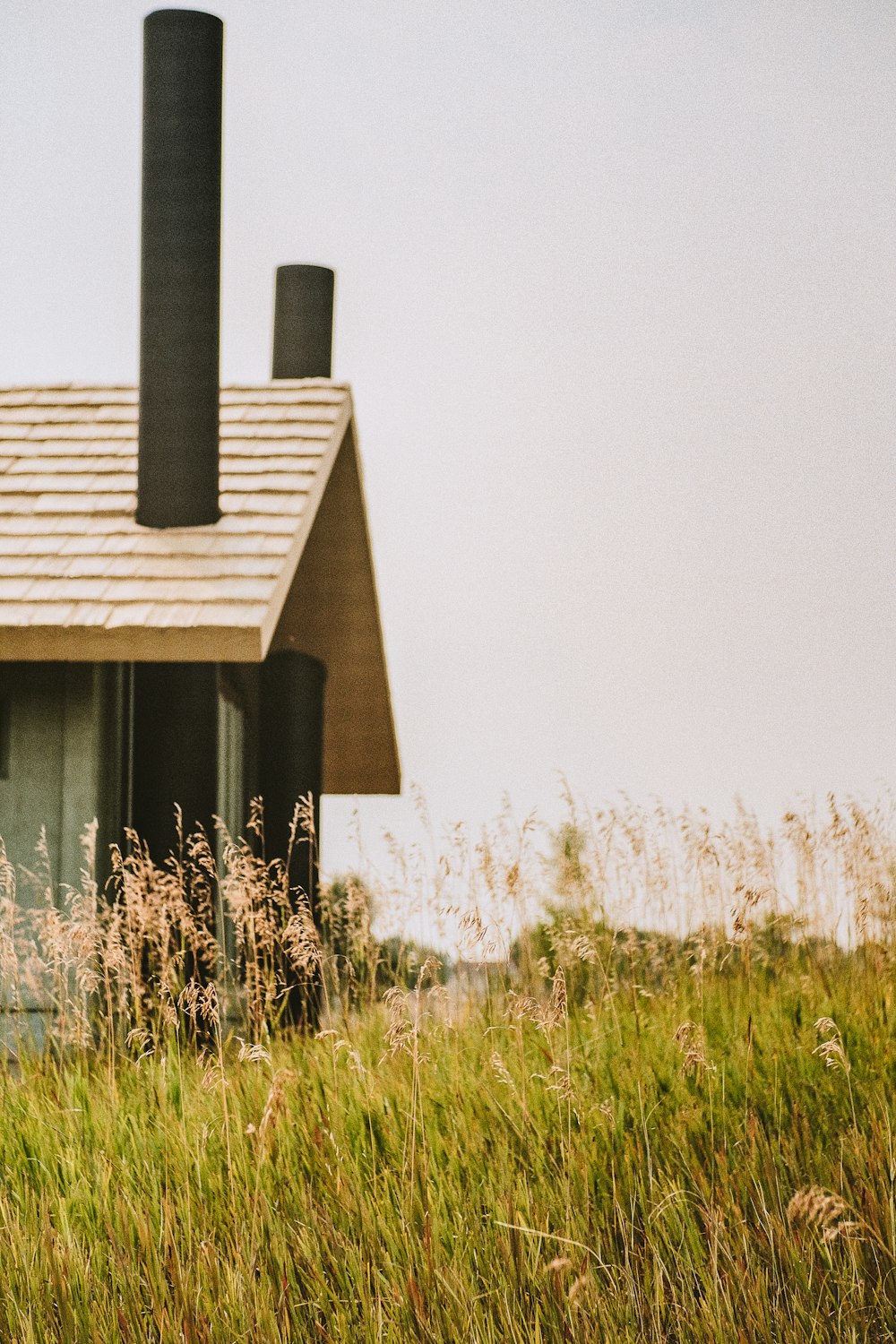 昼間の緑の芝生の上の茶色の木造家屋
