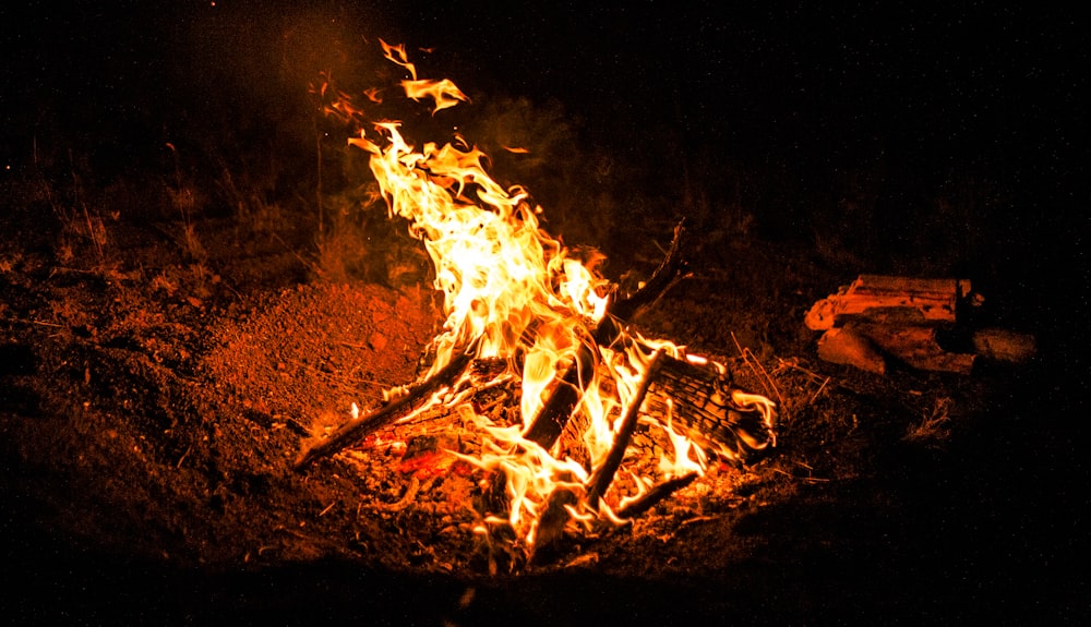 burning wood on brown soil