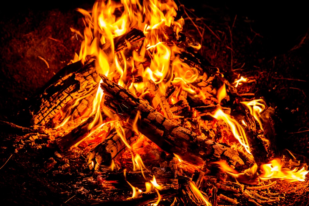 bruciare legna su terra marrone