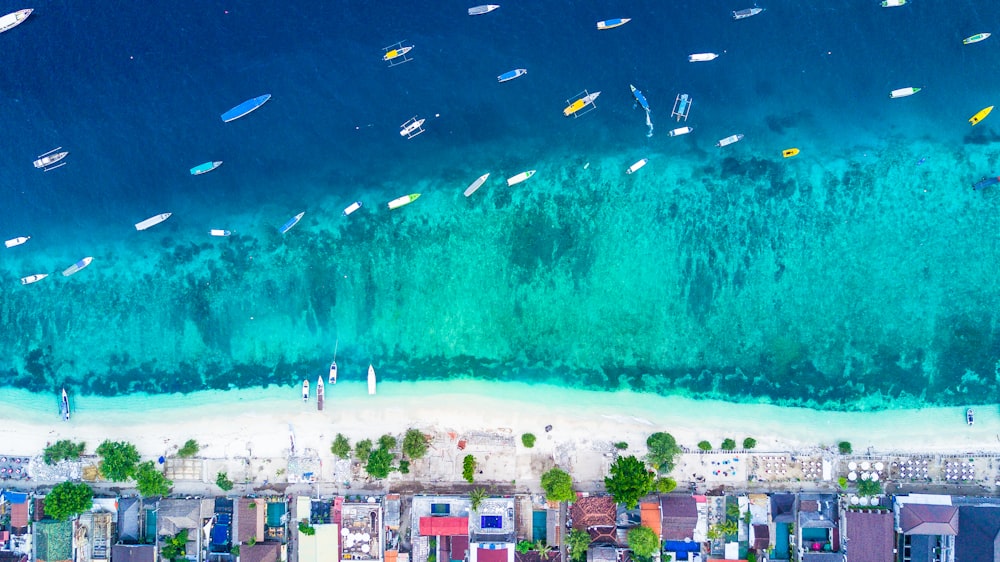 aerial view of city buildings near body of water during daytime