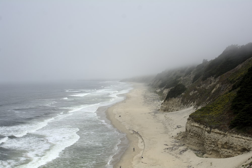 people on beach during daytime