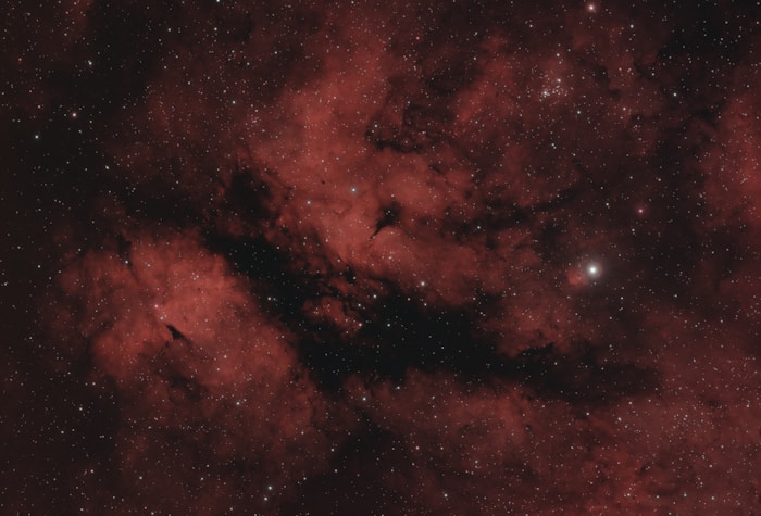 Nebulous region in the constellation Cygnus