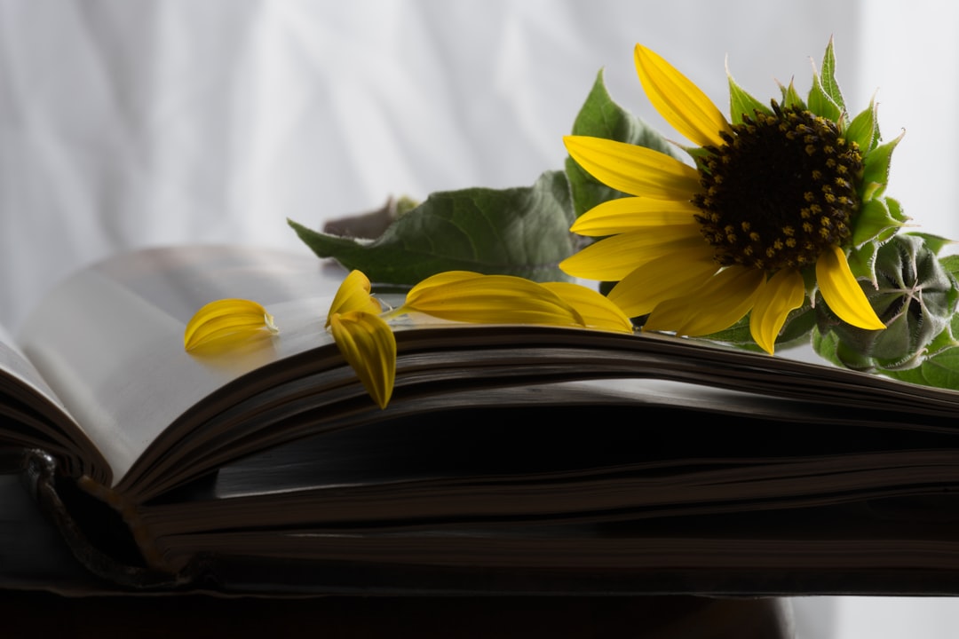 yellow flower on black book