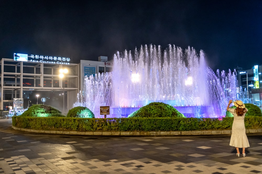 water fountain in the middle of green grass field during night time