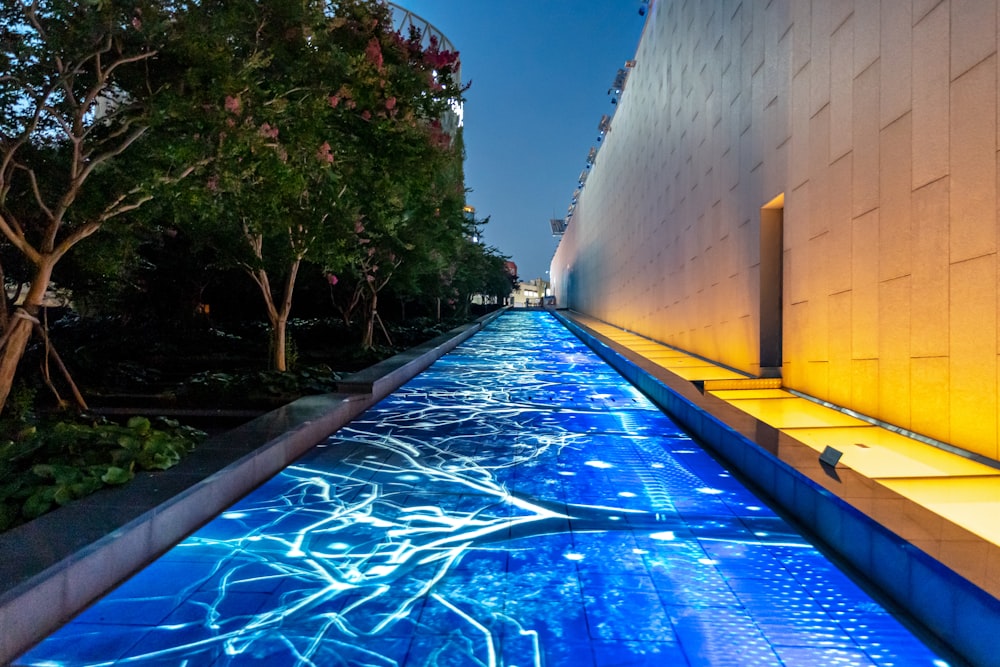 blue swimming pool near green trees during daytime