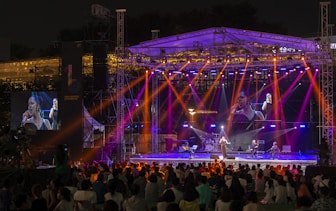 people watching concert during night time