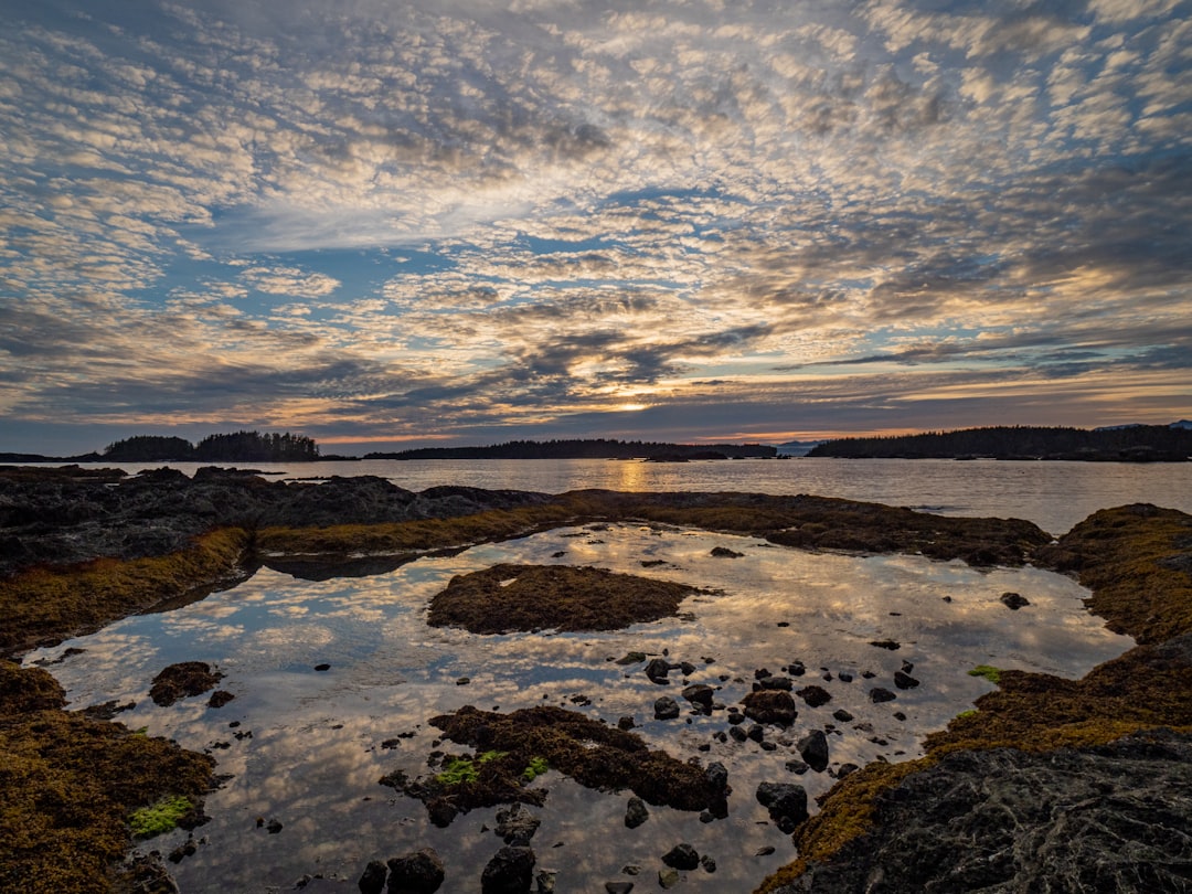 brown and green rock formation on body of water under blue and white cloudy sky during