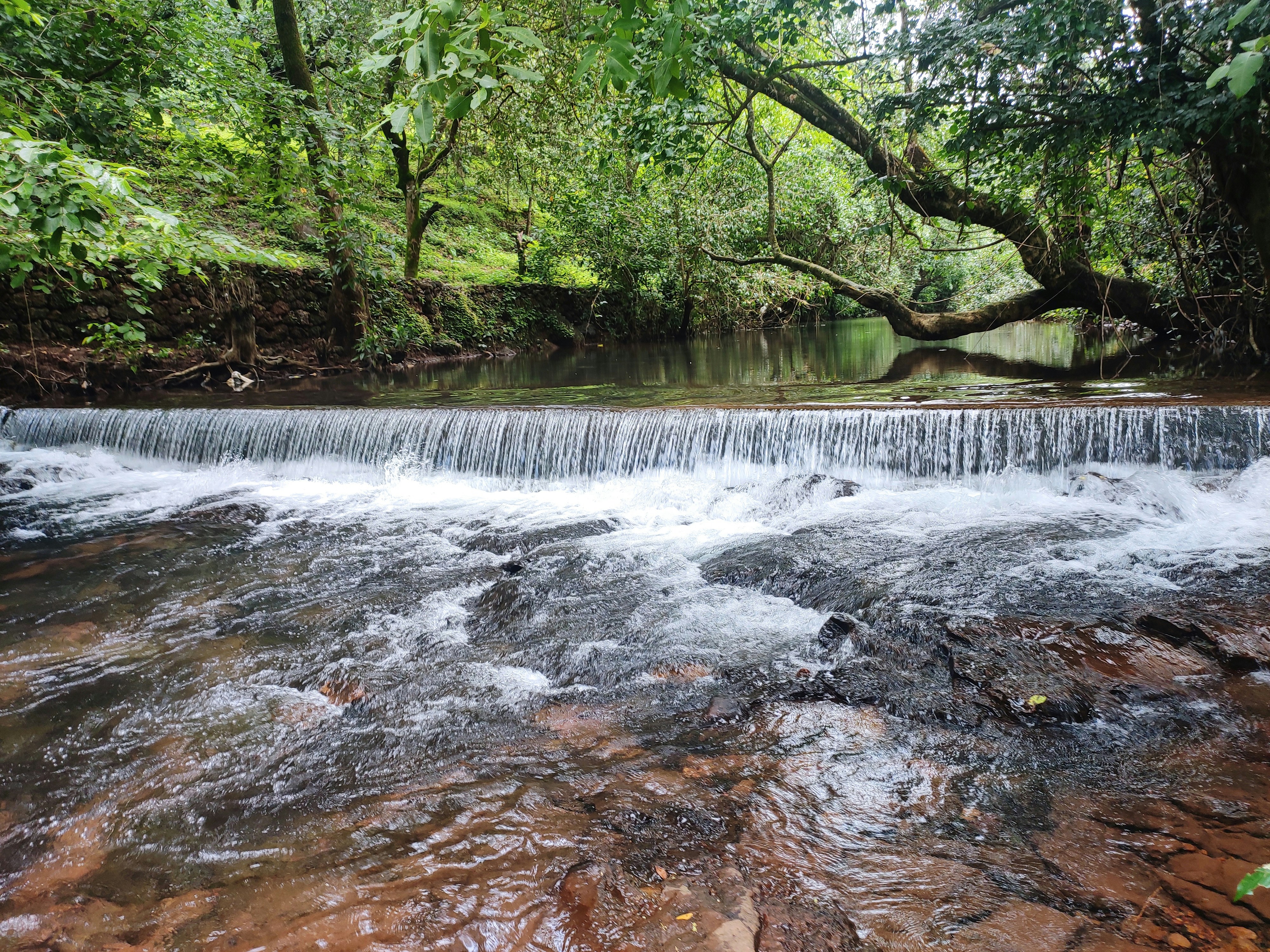 Photo by alfarnassolkar