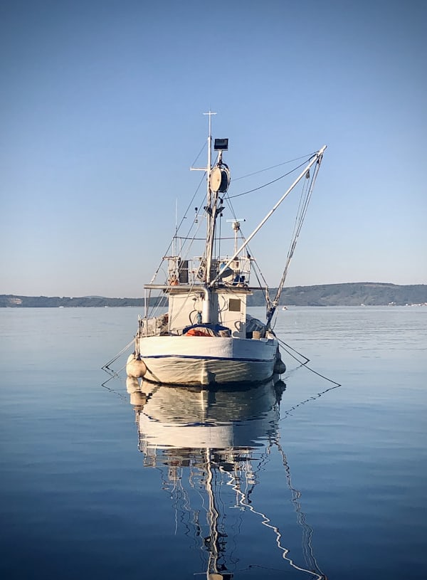 Aasboot hebben bij het vissen