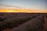A serene lavender field at sunset, reflecting peace and healing.