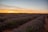 A serene lavender field at sunset, with soft purple hues and gentle light.