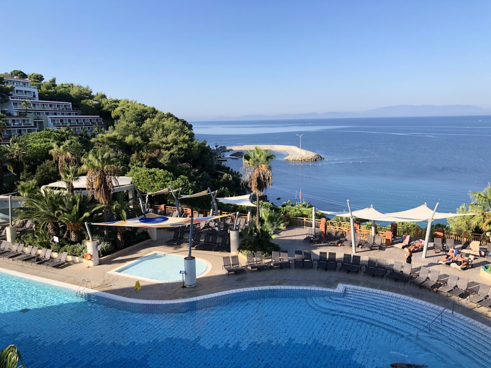 swimming pool near green trees during daytime