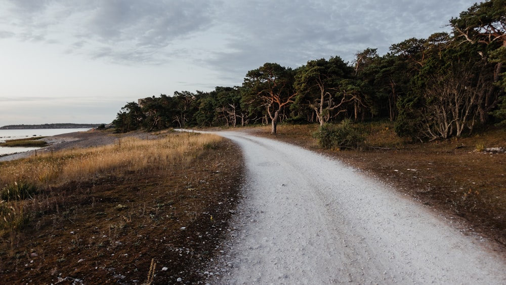 gray road between brown grass field during daytime