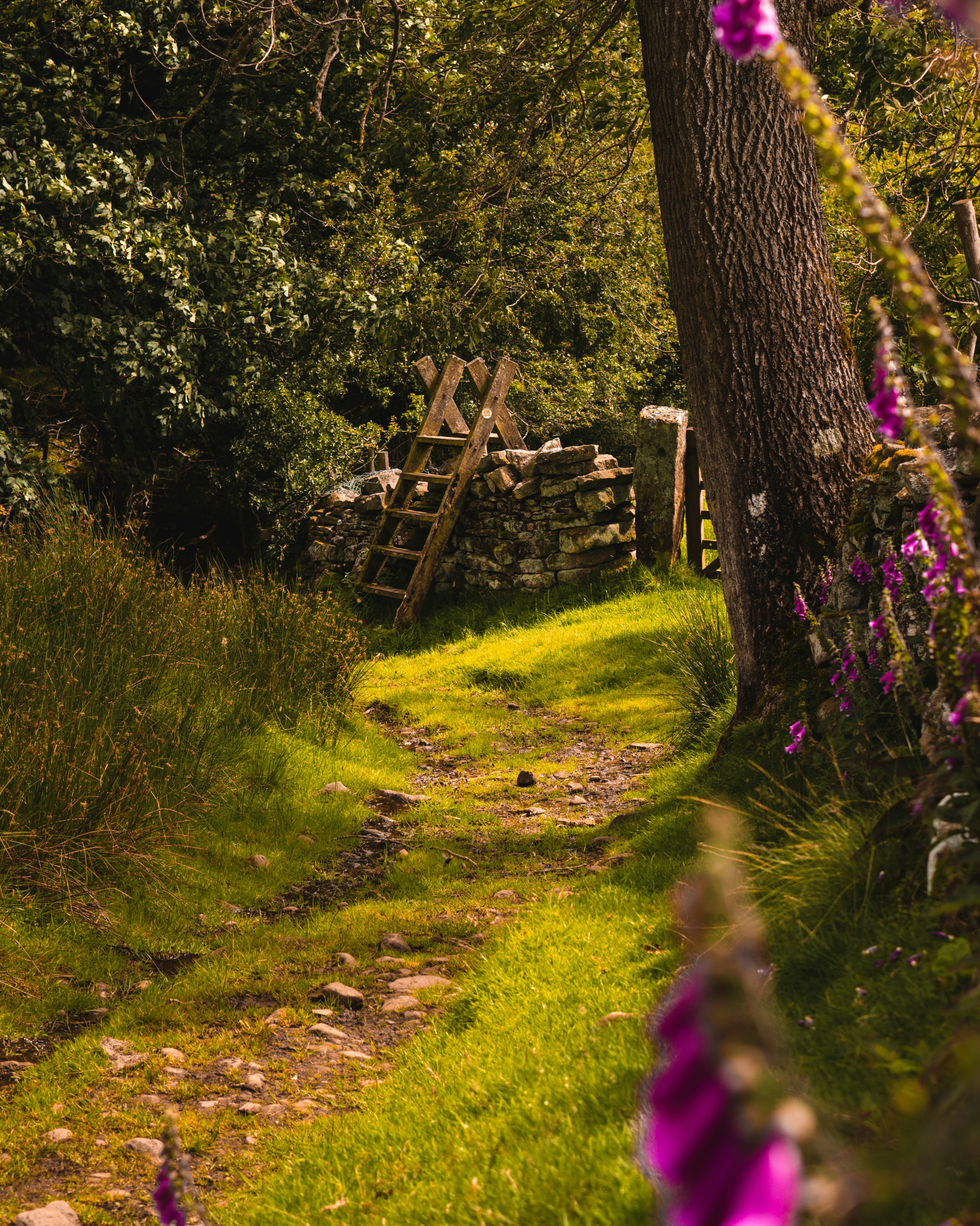 A country lane looking down towards a public footpath stile.