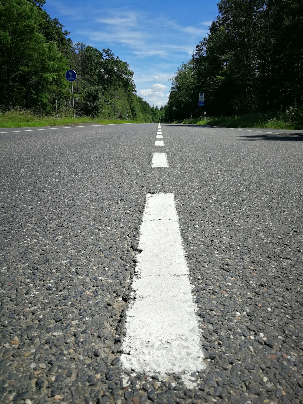 gray concrete road between green trees under blue sky during daytime