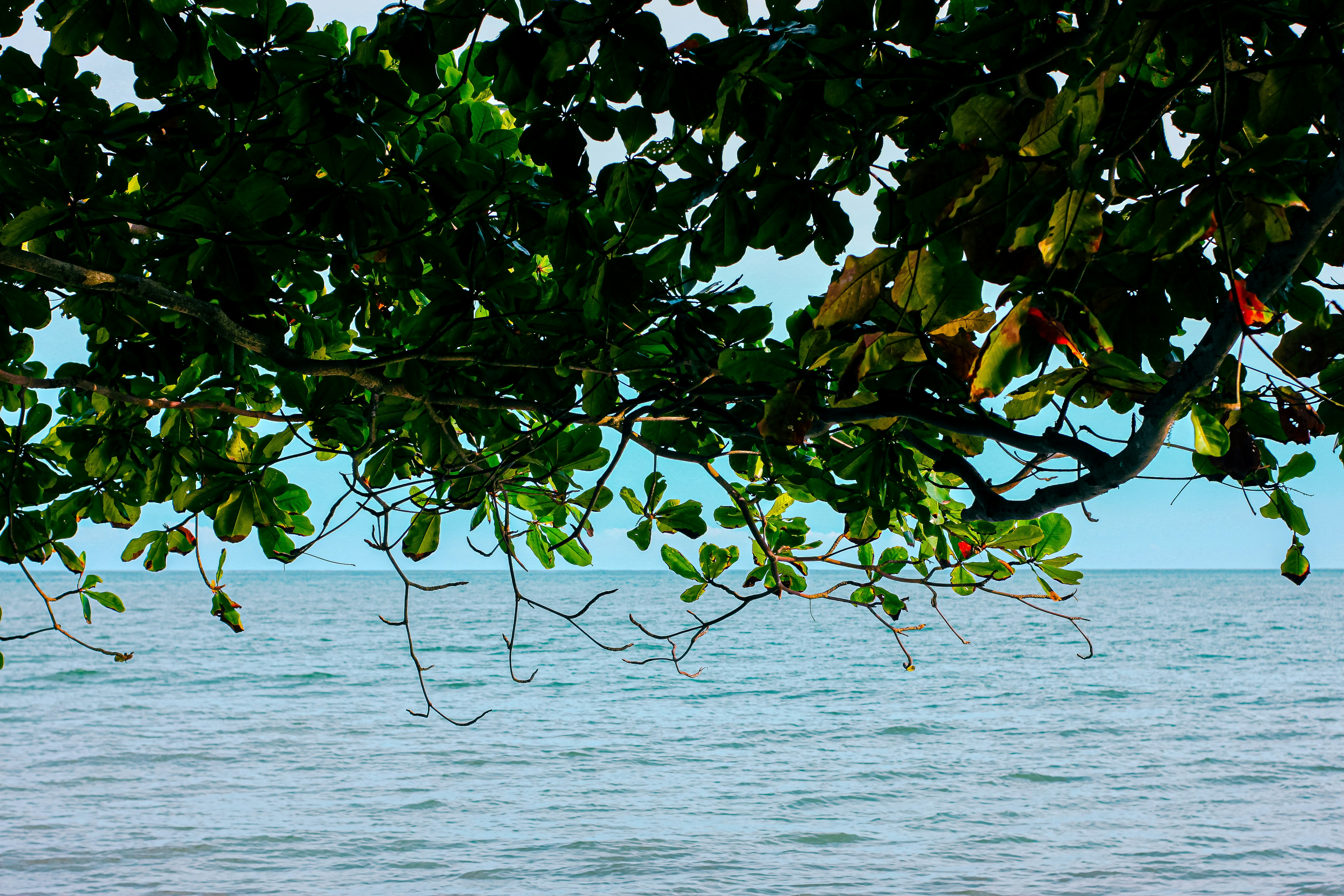 Photo by natasyachen