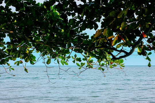 photo of Teluk Kumbar Tropics near Penang