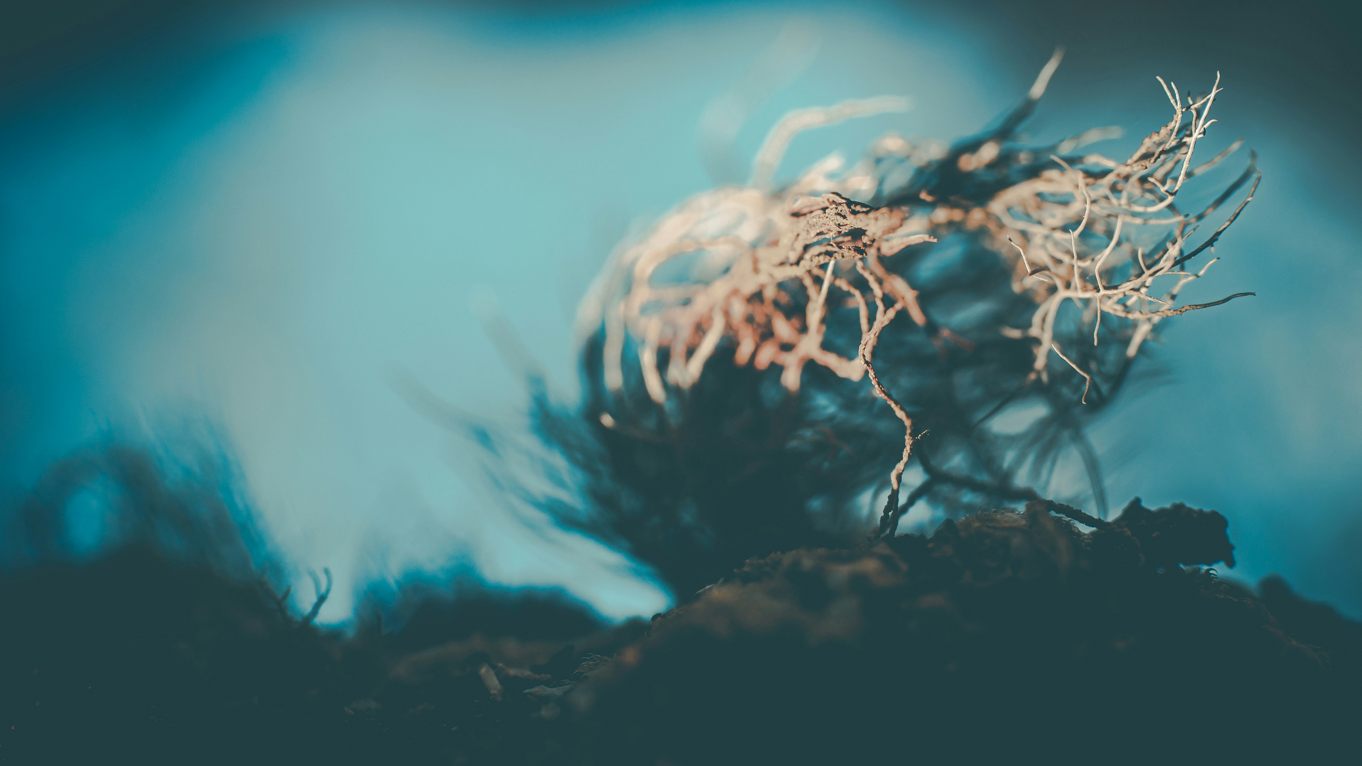 Photo by aegersmoothie