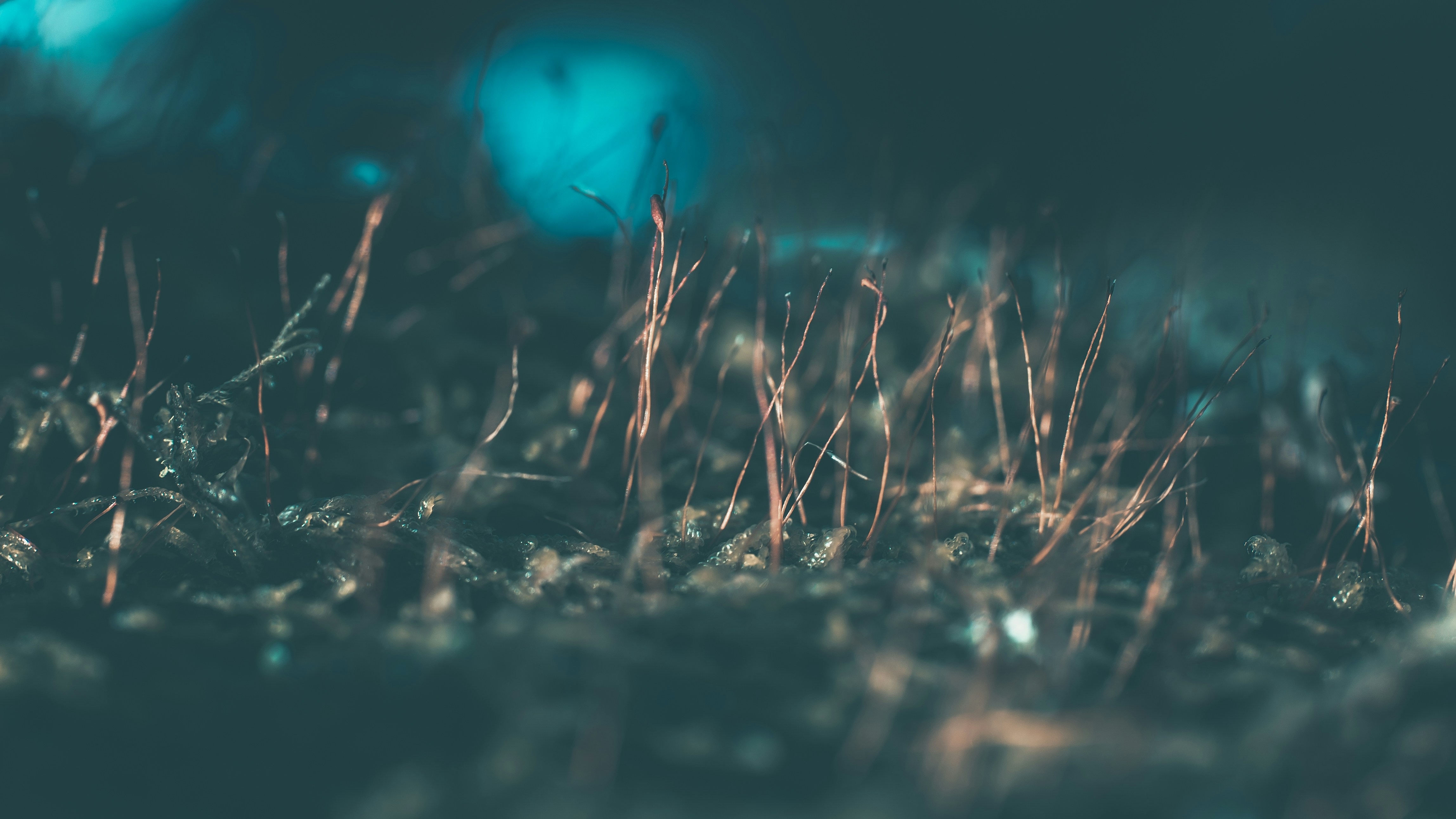 Photo by aegersmoothie