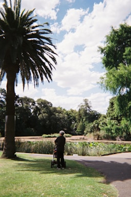 An elderly person with a stroller stands on a path near a tranquil pond in a lush, green park. Tall palm trees and other vibrant greenery surround the area under a partly cloudy sky.
