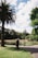 An elderly person with a stroller stands on a path near a tranquil pond in a lush, green park. Tall palm trees and other vibrant greenery surround the area under a partly cloudy sky.