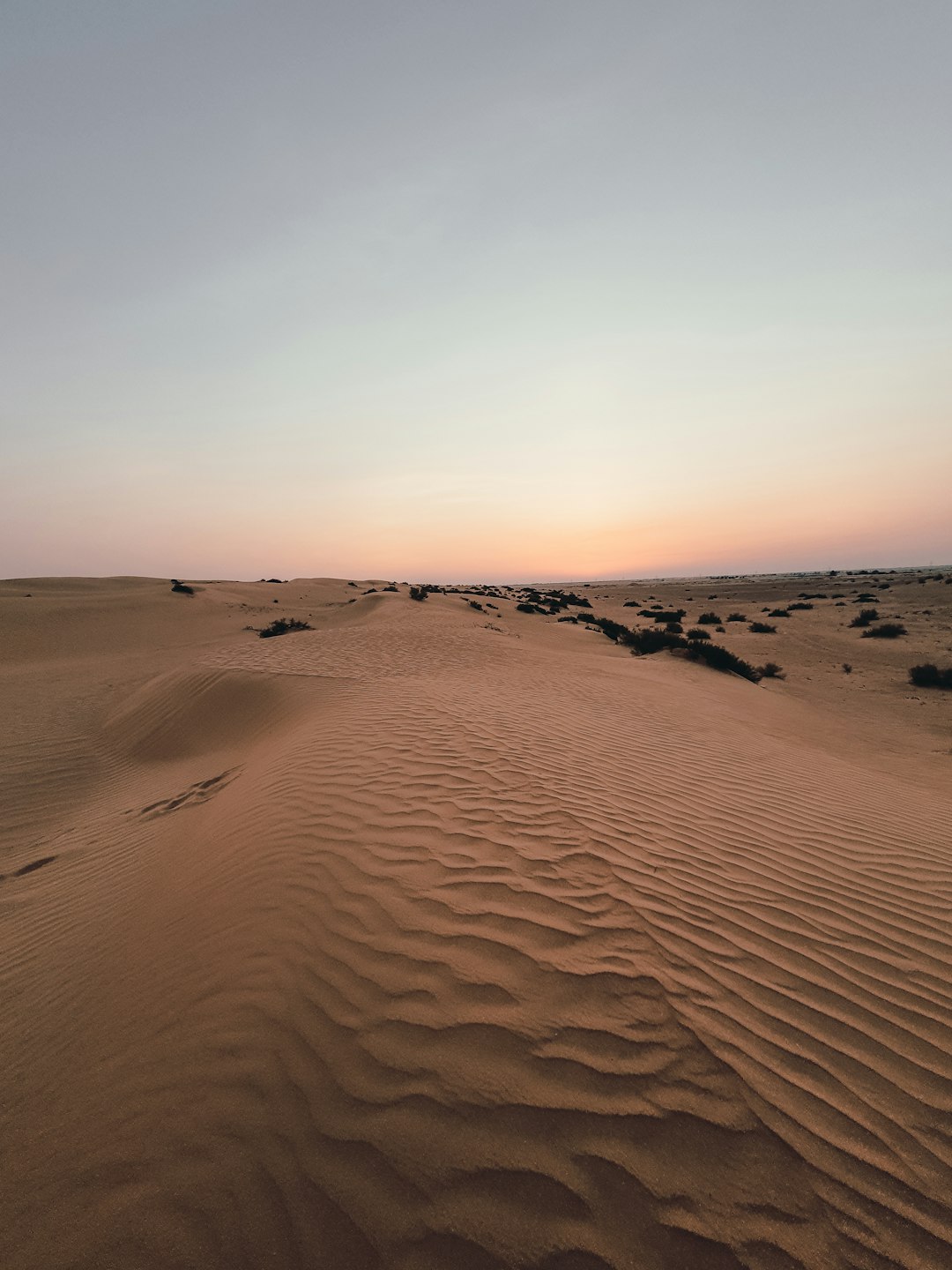 Travel Tips and Stories of Shahamah - Abu Dhabi - United Arab Emirates in United Arab Emirates