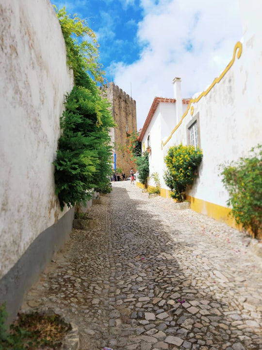 None in Óbidos Portugal