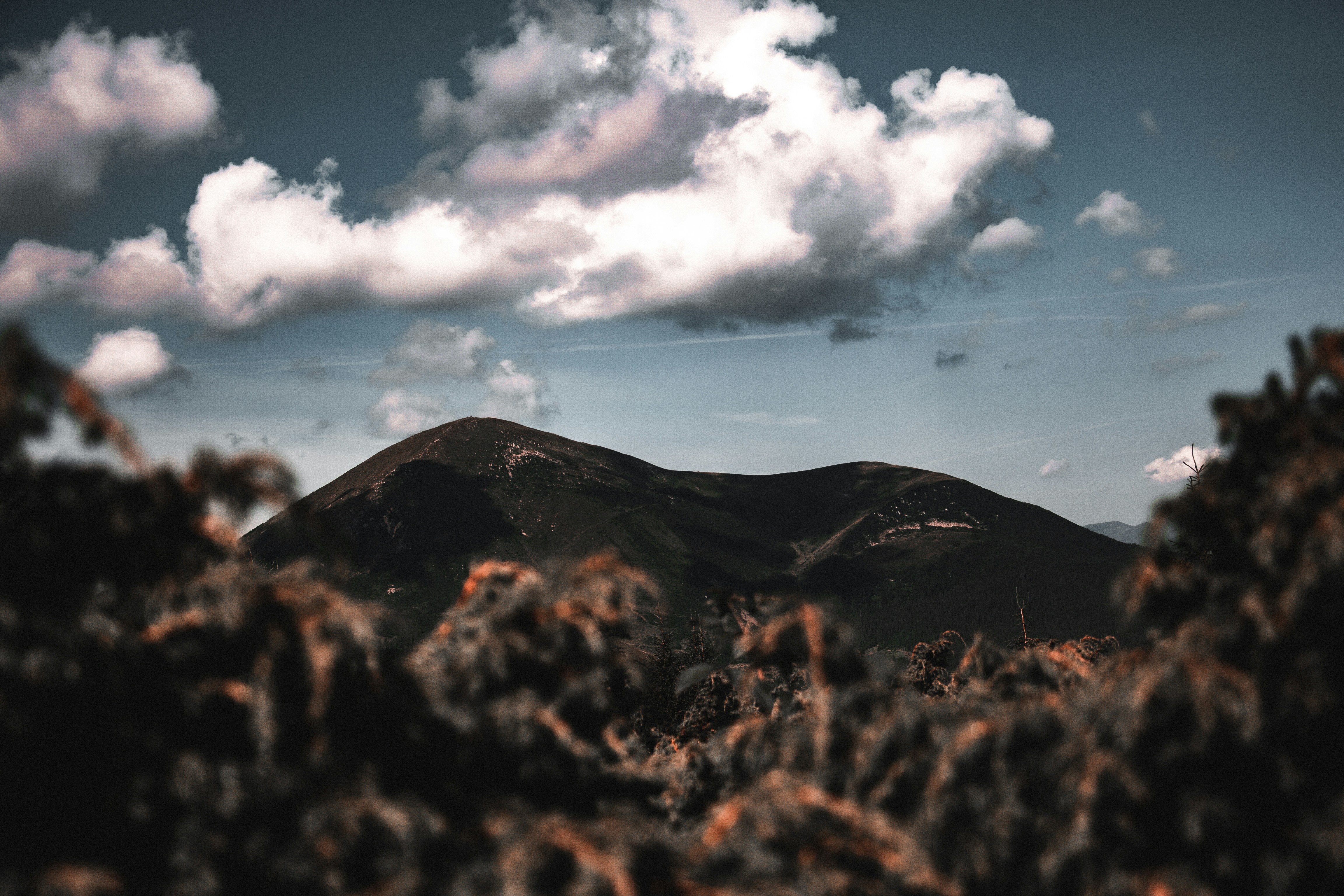 Photo by alexbeholder
