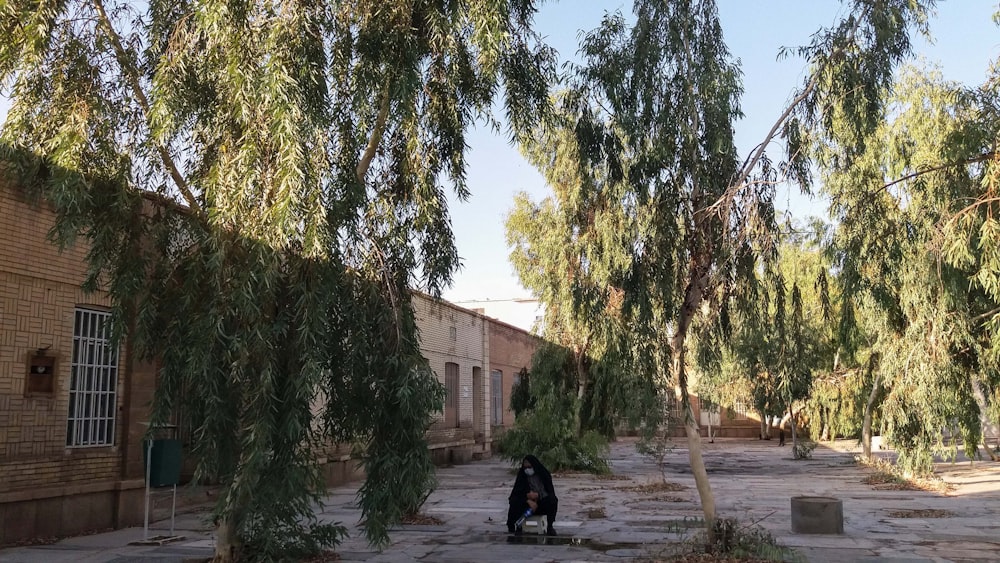 a man sitting on a bench under a tree