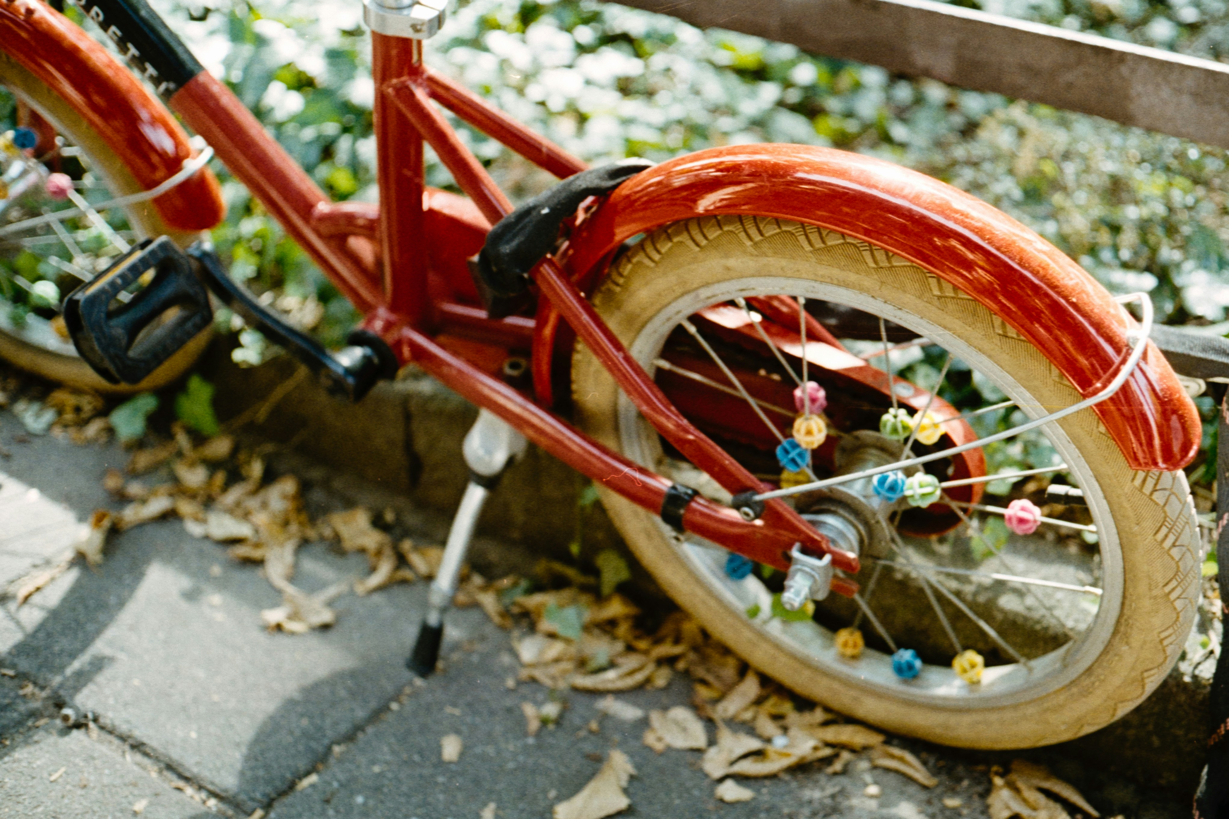 Photo by jeancarloemer