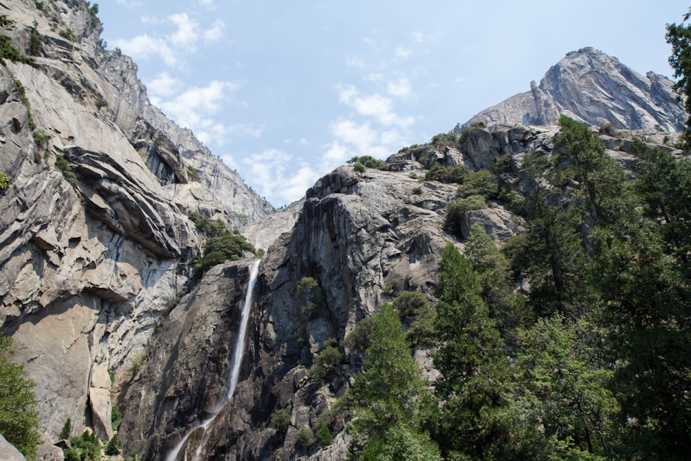 Grüne Bäume auf Rocky Mountain unter blauem Himmel tagsüber