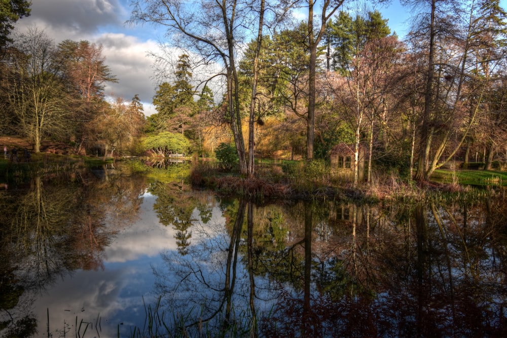 green trees beside river under blue sky during daytime