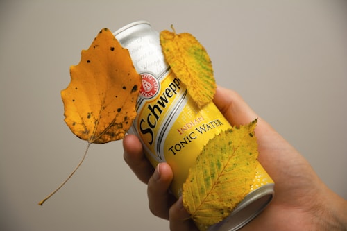 Bebidas