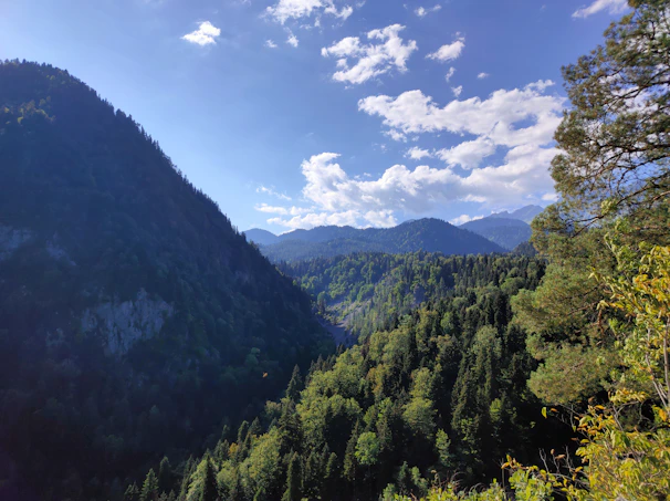 A serene view of Shivalik Valley Resorts nestled among lush green hills under a clear blue sky.