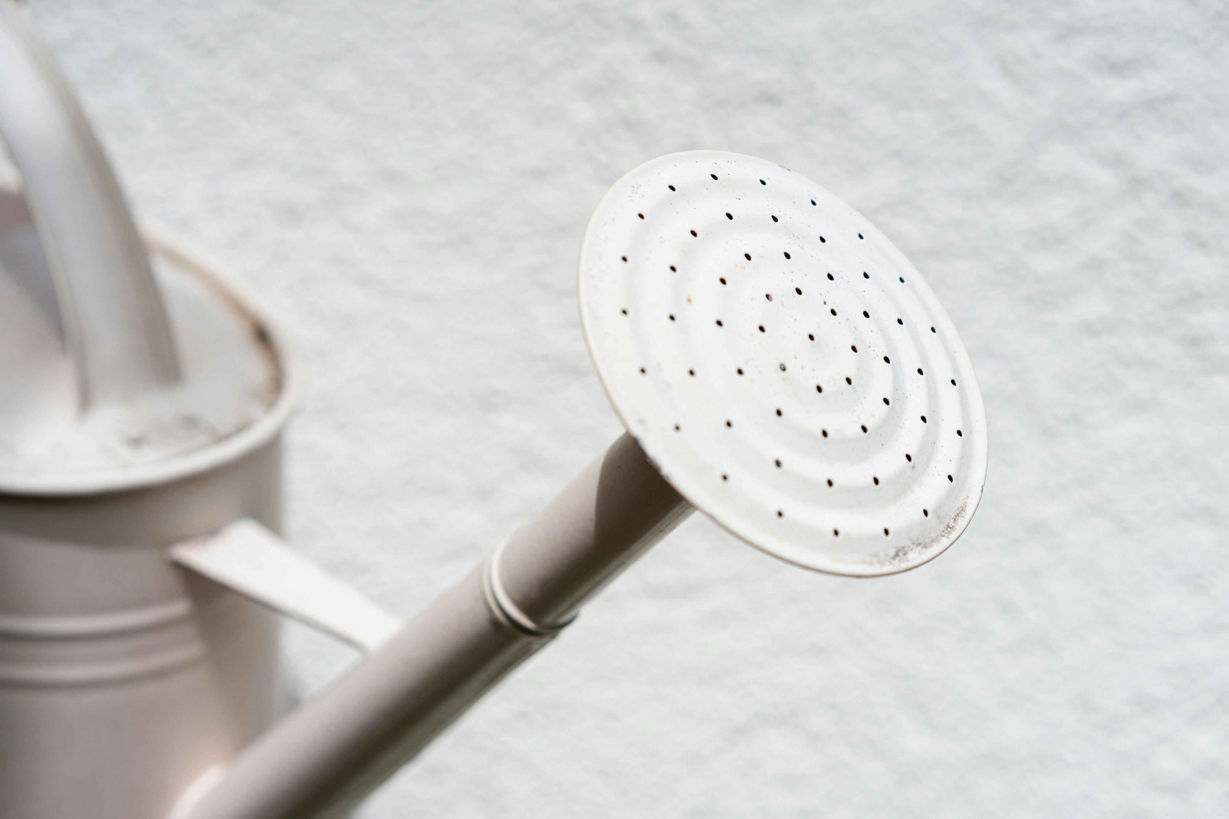 Choosing Your Perfect Shower Filter: What to Look For