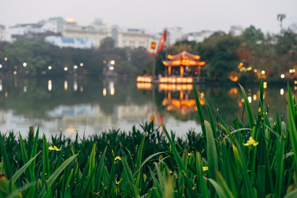 a view of a lake with a pagoda in the background