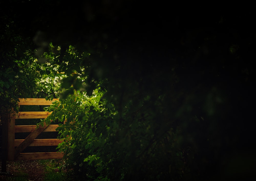 a wooden bench sitting in the middle of a forest