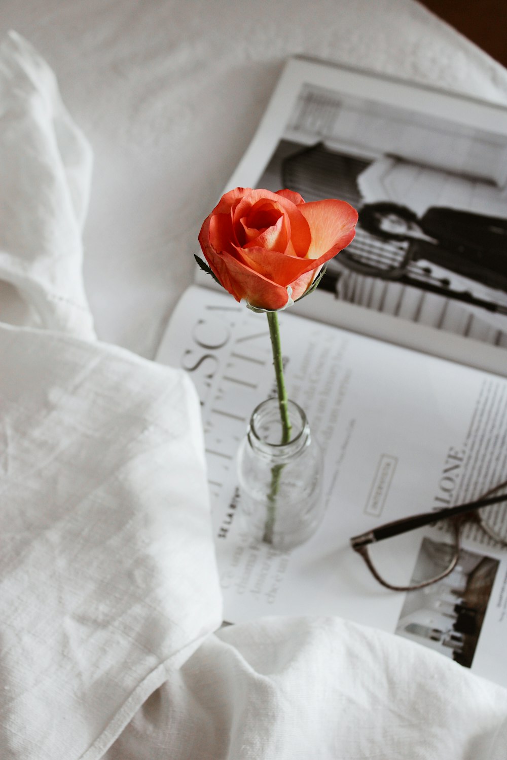 red rose in clear glass vase