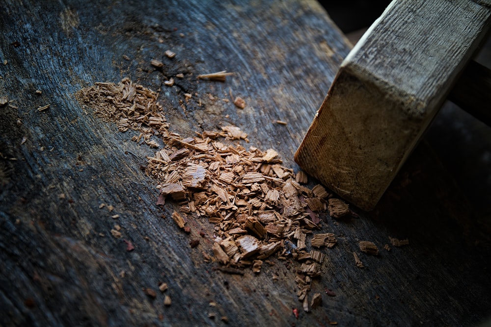 brown wooden log on brown soil