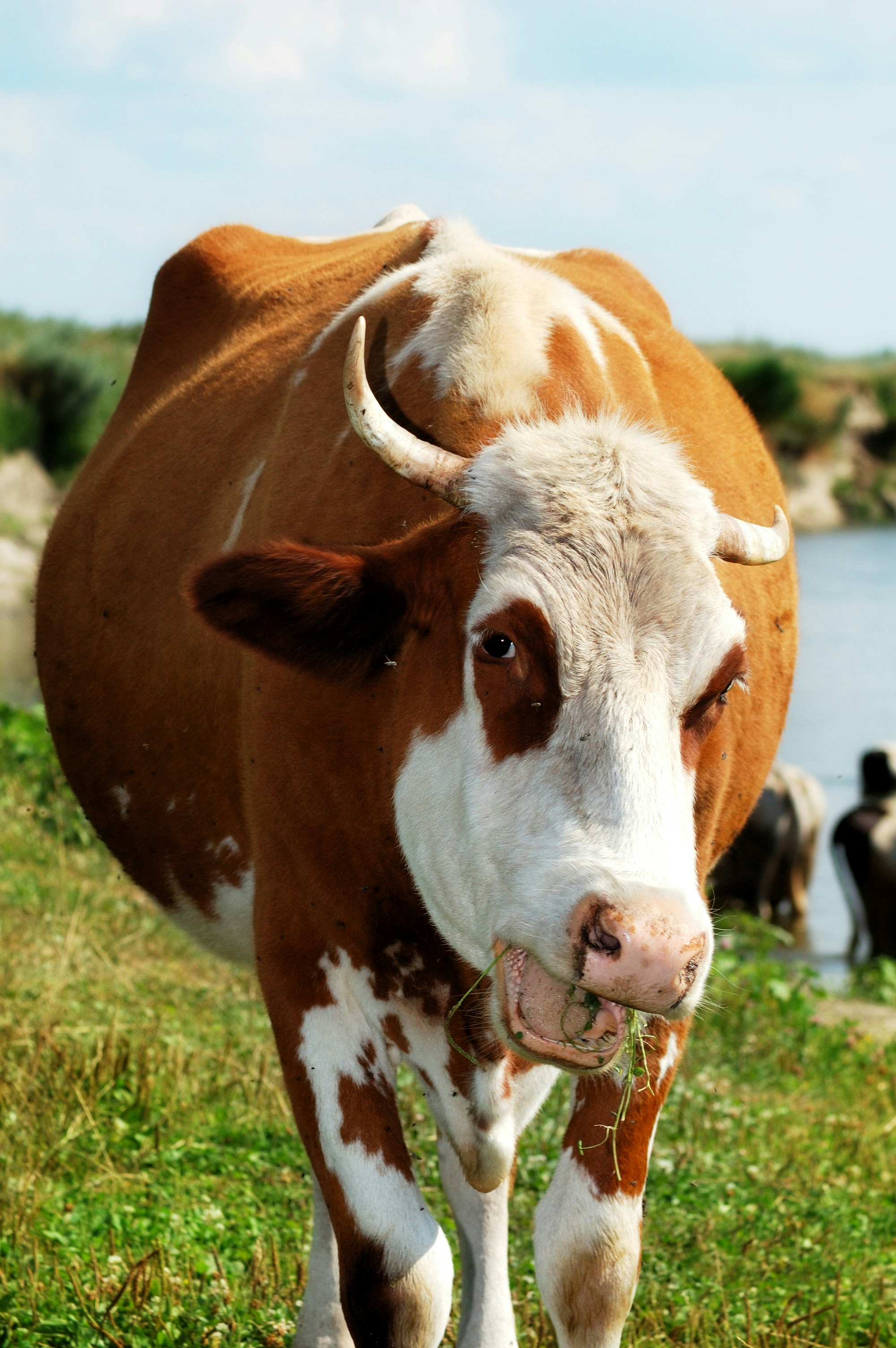 The Adaptation Marvel (image credits: unsplash)