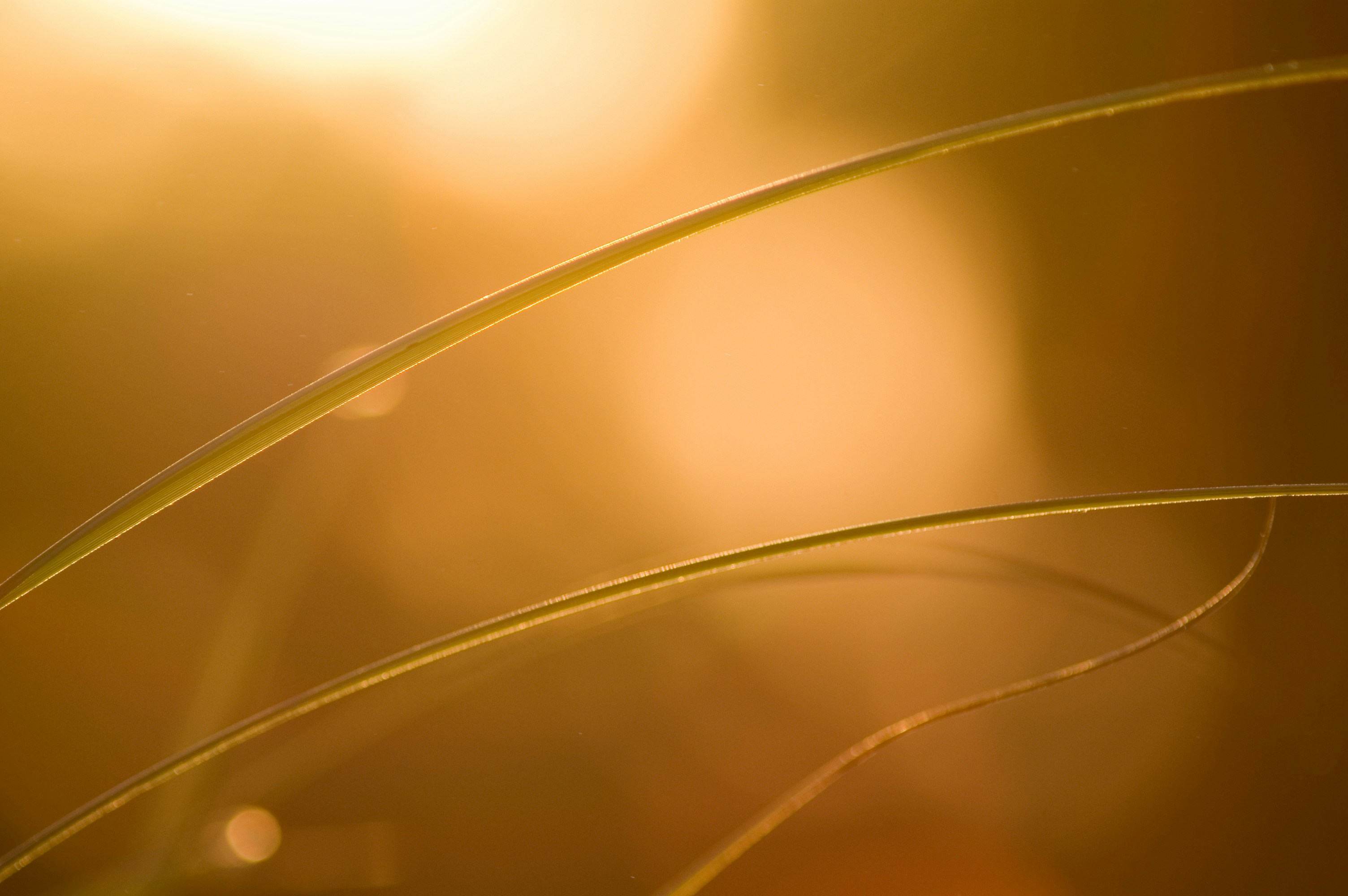 Photo by photofixation