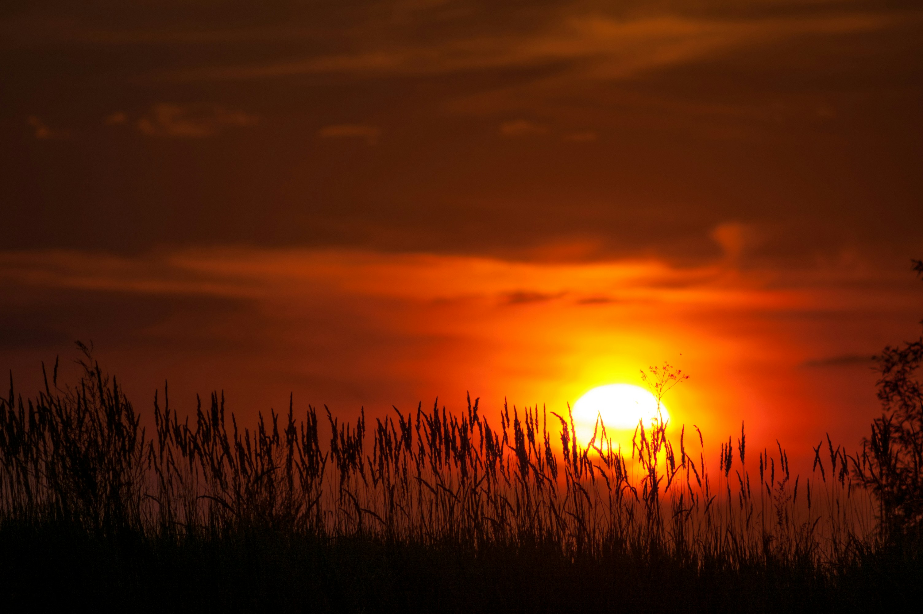 Photo by photofixation