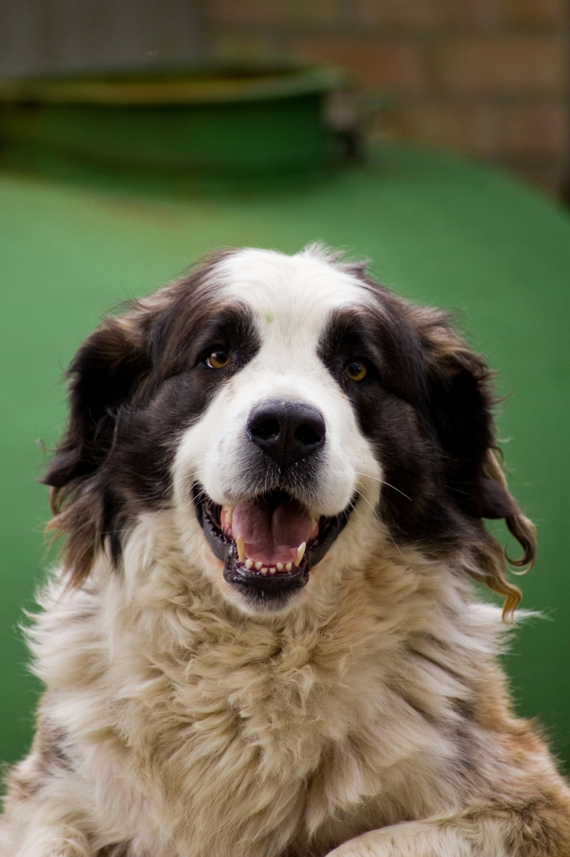 Photo by photofixation