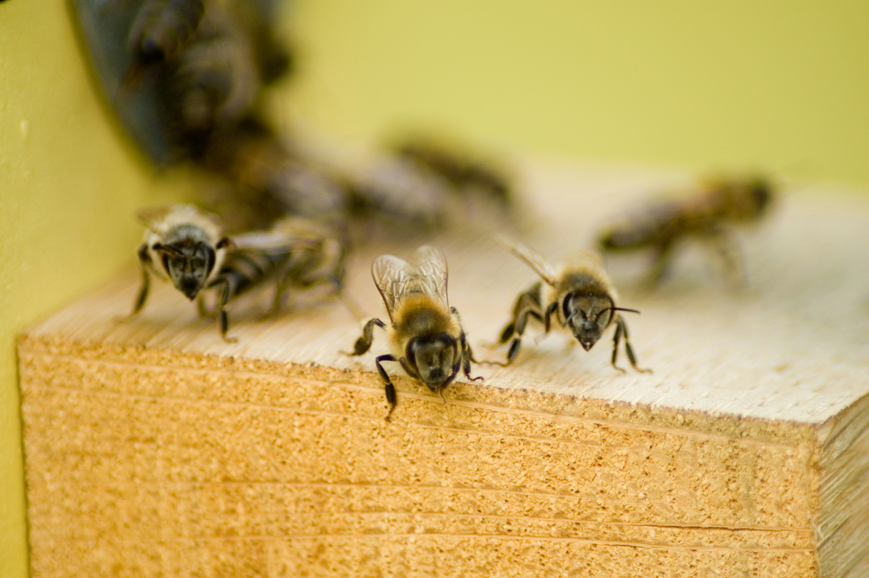 Photo by photofixation