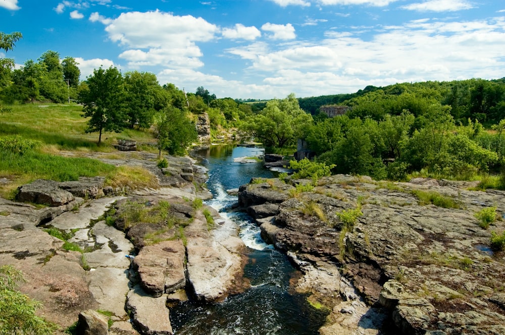 green trees beside river under blue sky during daytime