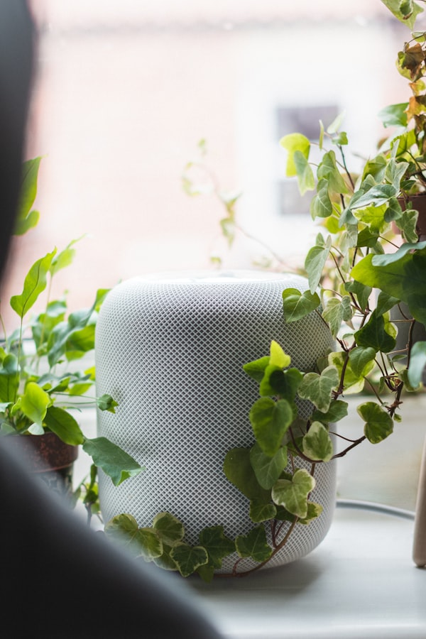 The Rise of Smart Homes: How Technology is Revolutionizing Sustainable Living