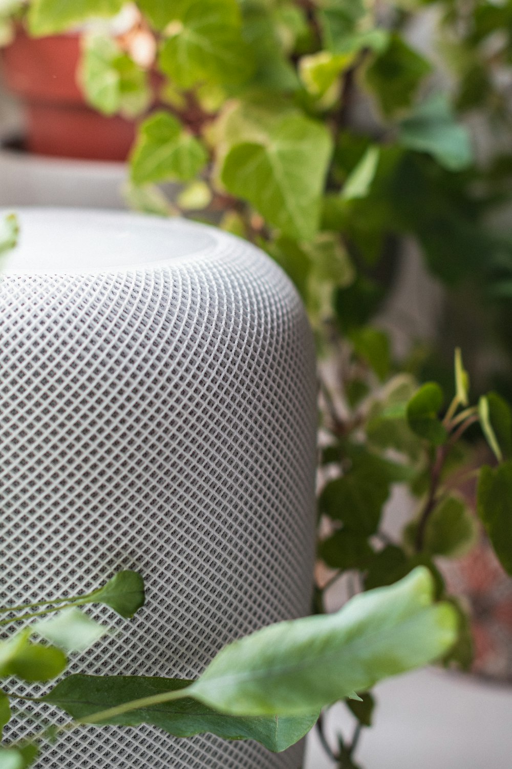 a close up of a plant with a speaker on it