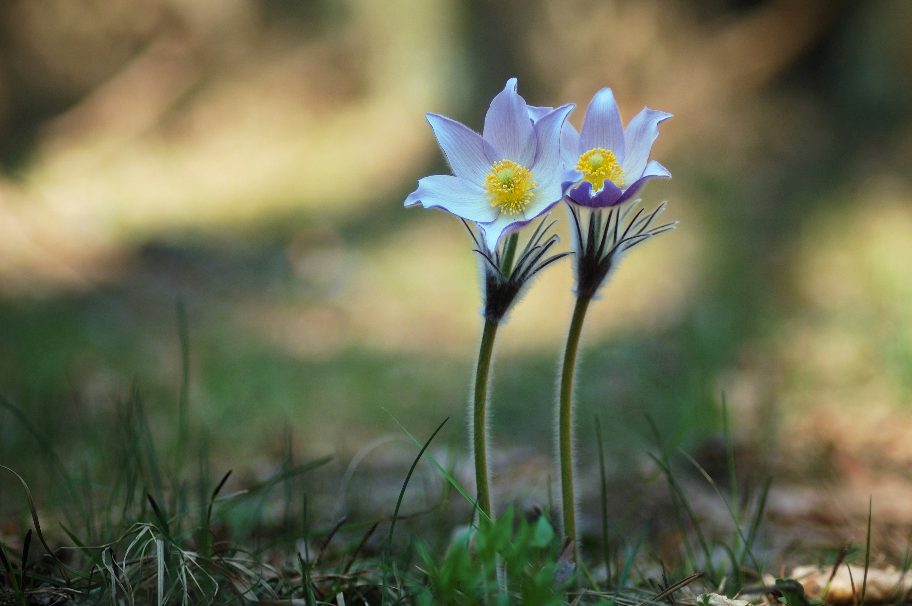 Photo by photofixation